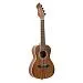 Ortega RUWN Horizon Series Укулеле.-0