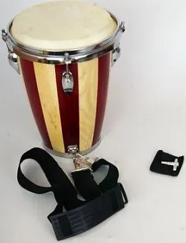 Fleet FLT-ZHB-121A Мини-Конги.