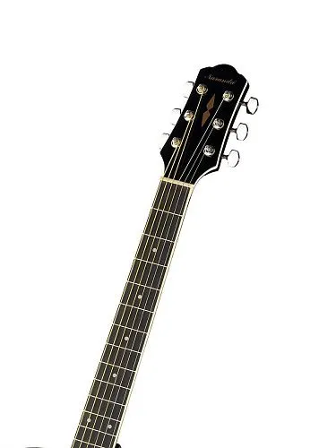 Naranda CAG280CBK Акустическая гитара.