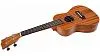 Flight NUC310 Укулеле концерт-5