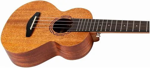 Flight NUC500 Укулеле концерт