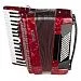 Aurus JH2021-R Аккордеон.-0