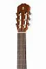 Alhambra 6.203 Classical Student 2C A Классическая гитара.-1