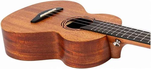 Flight NUC500 Укулеле концерт