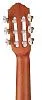 Ortega RGL5CE Bonfire Series Гиталеле.-5