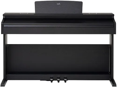 Emotive Piano 3 BK Цифровое пианино.