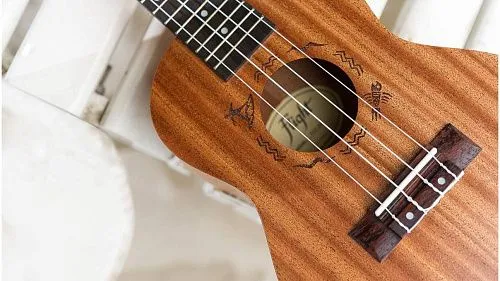 Flight NUC310 Укулеле концерт