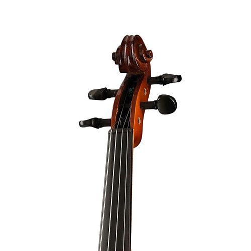 Hora A100-15,5 Rhapsody Student Альт студенческий.